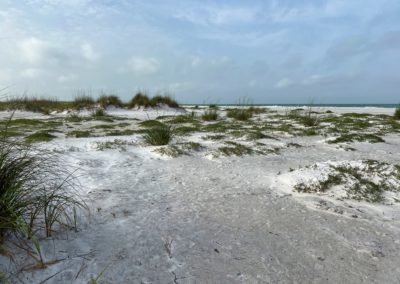 2022-05-22 USA Florida Anna Maria Island Beach nature wild white sand