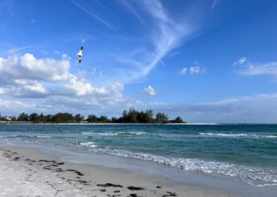 2022-05-25 USA Florida Anna Maria Island Coquina Beach white sand ocean water bird nature