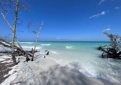 2022-05-26 USA Florida Beercan Island Gibby Point Beach Baum Bäume weisse Sand klares Wasser Ozean Meer Nature wild