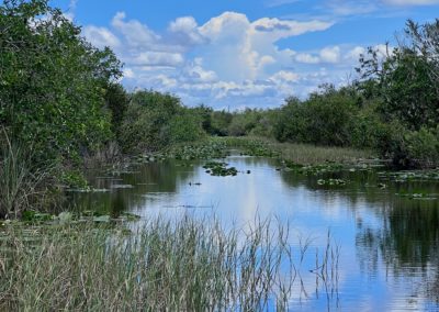2022-05-30 USA Florida Everglades National Park grassland nature wild water river green