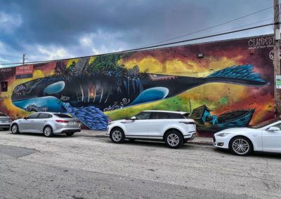 2022-05-31 USA Florida Miami Wynwood Street neighborhood street art Wynwood Walls graffiti orca colors