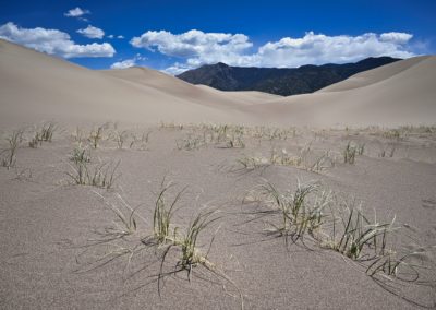 2022-06-04 USA Colorado Great Sand Dunes National Park vegetation grass national park landscape dunes sand mountains sky clouds
