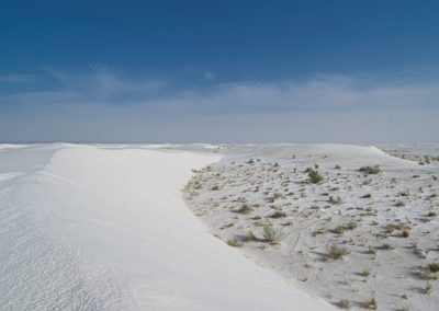 2022-06-09 USA New Mexico White Sands National Park day daylight dunes desert white sand gypsum vegetation