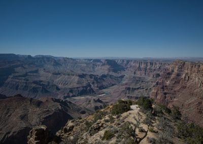 2022-06-15 USA Arizona Grand Canyon National Park landscape trees greens colorado river
