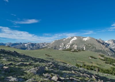 2022-06-24 USA Colorado Rocky Mountain National Park Ute Trail hike trail landscape nature greens rocks flowers mountains tundra
