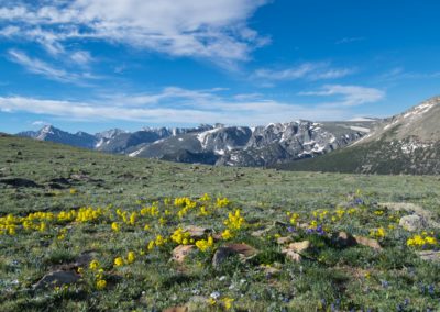 2022-06-24 USA Colorado Rocky Mountain National Park Ute Trail hike trail landscape nature greens rocks flowers mountains tundra