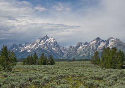 2022-07-02 USA Wyoming Grand Teton National Park Potholes Turnout viewpoint landscape nature mountains greens pine trees forest