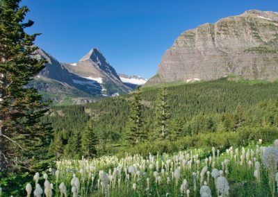 2022-07-15 USA Montana Glacier National Park Iceberg Lake Hike nature landscape moutains greens beargass bear grass