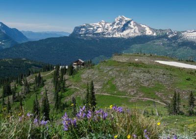 2022-07-24 USA Montana Glacier National Park Hike Granite Park Chalet forest pine trees Heavens Peak mountains flora flowers landscape