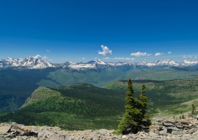 2022-07-24 USA Montana Glacier National Park Hike mountains landscape forest pine trees Highline Trail Grinnell Glacier Overlook mountain range