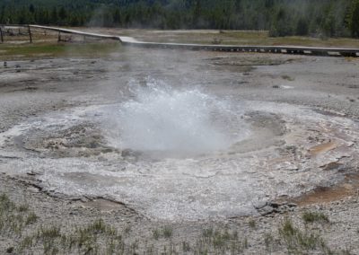 2022-07-12 USA Wyoming Yellowstone National Park nature landscape paysage geothermics hot springs Mustard Spring Geyser