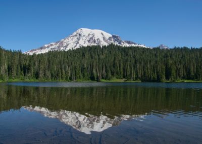 2022-07-31 USA Washington State Mount Rainier National Park nature landscape refection lakes lake volcano forest greens pine trees
