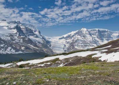 2019-05-29 Canada Alberta Jasper National Park Icefields Parkway Promenade des Glaciers Highway 93 Autoroute 93 scenic road Rocky Mountains nature landscape Wilcox Pass Trail hike Athabasca glacier snow