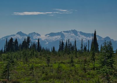 2022-08-18 Canada British Columbia Whistler Garibaldi Provincial Park Panorama Ridge trail hike landscape forest trees mountains