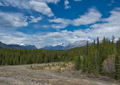 2019-05-22 Canada Alberta Kananaskis Country nature landscape mountains forest