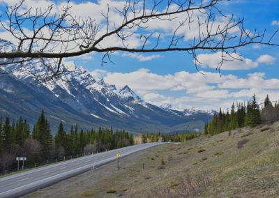 2019-05-22 Canada Alberta Kananaskis Country nature landscape mountains forest road roadtrip trip