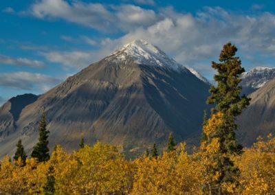 2022-09-18 Canada Yukon Haines Junction Kluane National Park landscape nature automn fall colors golden fall foliage forest trees mountains