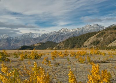 2022-09-20 Canada Yukon Haines Junction Kluane National Park landscape nature automn fall colors golden fall foliage forest trees mountains