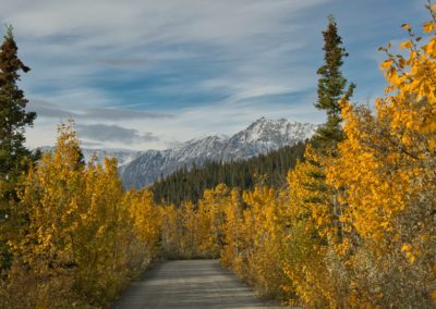 2022-09-20 Canada Yukon Haines Junction Kluane National Park landscape nature automn fall colors golden fall foliage forest trees mountains road