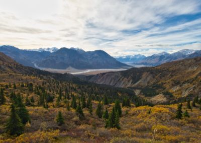 2022-09-20 Canada Yukon Haines Junction Kluane National Park Sheep Creek trail hike nature landscape automn golden fall foliage colors mountains snow glacier Kaskawulsh valley pine trees