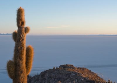 2022-10-29 Südamerika Bolivien Altiplano Hochebene Hochplateau Hochland Anden Tupiza Uyuni Tour Landschaft Natur Salar Uyuni Salzwüste Isla Incahuasi Insel Sonnenaufgang Kaktus Horizont