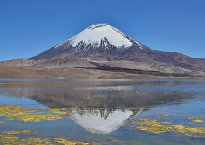 2022-11-14 Amérique du Sud Chili Altiplano haut plateau chilien cordillère des Andes parc national Lauca Lago Chungara lac de chungara montagne volcan neige Parinacota reflet dans l'eau oiseaux