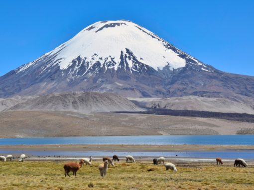 Lauca National Park