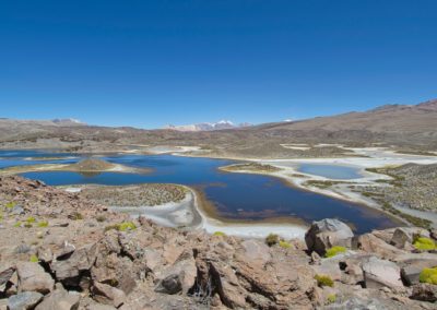 2022-11-14 Amérique du Sud Chili Altiplano haut plateau chilien cordillère des Andes parc national Lauca Laguna lagune Cotacotani eau couleur îles montagnes volcan paysage point de vue pierres