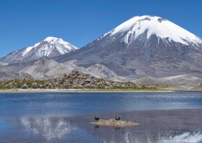 2022-11-14 South America Chile chilean Altiplano high plain plateau Andean Plateau Andes Mountains Andean Mountain Range Lauca National Park Laguna lagoon Cotacotani water different color colour islands mountains volcano landscape Perinacota Pomerape snow reflections in the water animal wildlife birds nest