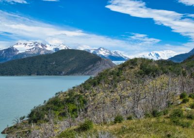 2023-01-11 Chile Patagonia Puerto Natales Torres del Paine National Park Parque Nacional the best the most beautiful hike magnificent trail Multi-day hike W-Trek day stage 1 Lago Glacier Grey lake Grey mountains forest clouds trees