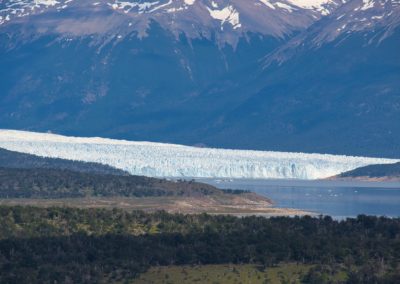 2022-12-10 Argentine Patagonie El Calafate Parc National Los Glaciares Parque Nacional Randonnée Cerro de los Cristales Glacier Perito Moreno paysage Lac Argentino Lac Roca lac montagnes forêt